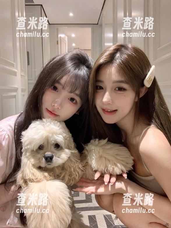 视频加载得太慢，是不是155.fun在和我捉迷藏？