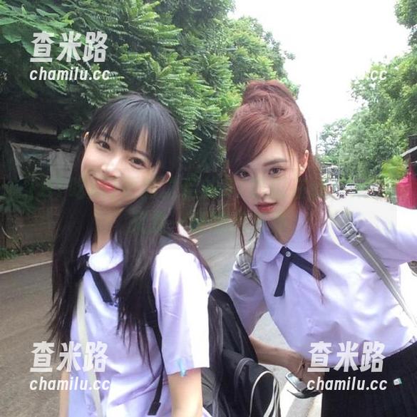 更新之后的91吃瓜在线，果然又是一番热闹景象