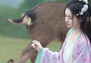 “xgua5.tv”就像链接速度永不迷路，真让人想顺着好奇心走不归路。