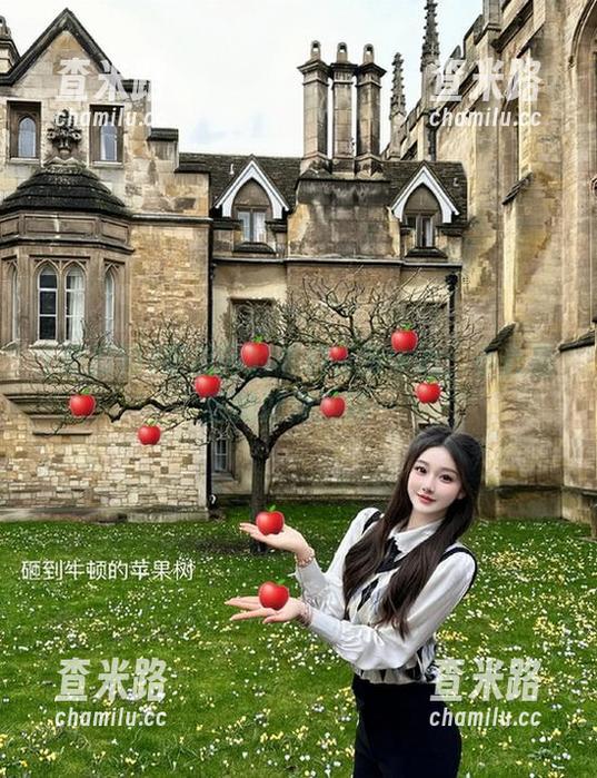 吃瓜网的黑料资源中心：小心后面的波涛汹涌…