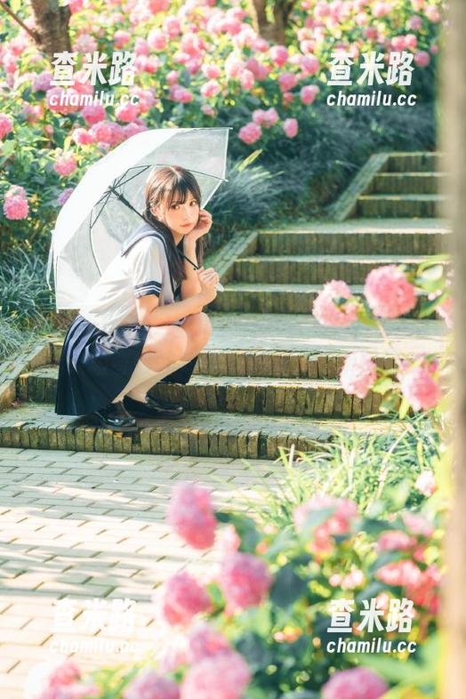 安卓VS黑料不打烊网页版，这场奇妙的对决，胜负已无所谓吧？