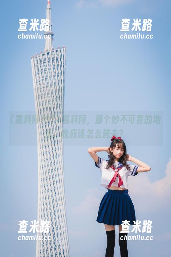 黑料网 911黑料网,那个妙不可言的地址,我应该怎么进去?